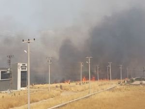 Anız yangınında yüzlerce dönüm arazi zarar gördü