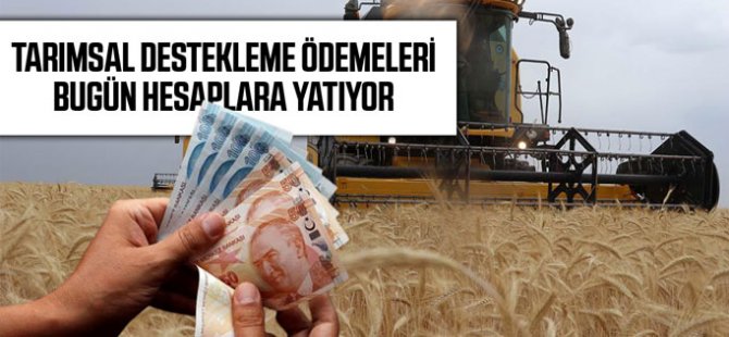 Çiftçilere 865 milyon liralık destekleme ödemesi yapılacak