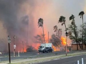 Hawaii'deki orman yangınlarında ölenlerin sayısı 89'a çıktı