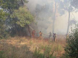 İzmir'deki orman yangınına müdahale sürüyor