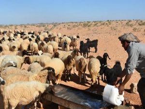 Irak'ta çobanların bastığı mayın patladı: 3 ölü