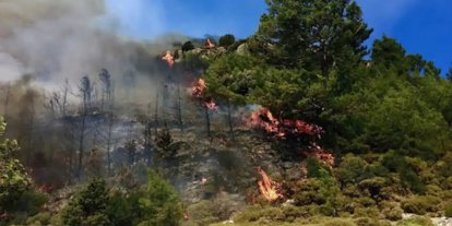 Çanakkale'de orman yangını