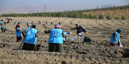 "1 İyilik 1 Fidan" projesiyle 800 bin fidan toprakla buluşturuldu