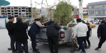 Cizre'de vatandaşlara fidan dağıtıldı