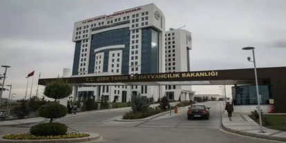 Tarım ve Orman Bakanlığı, Bilecik'te geçici işçi alımı yapacak