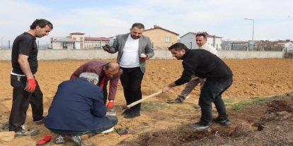 Bingöl'de Guldar domatesi toprakla buluştu