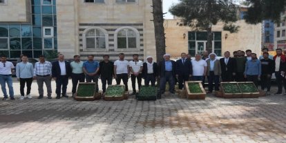 Cizre'de üreticilere 21 bin fide dağıtıldı