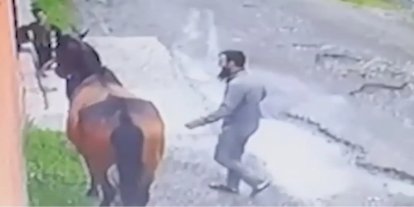 Satılan at, 10 km kat edip İnguşetya'da Müslüman sahibine geri döndü