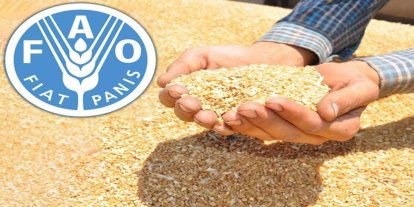 Küresel gıda fiyatları son 2 yılın en yüksek seviyesinde