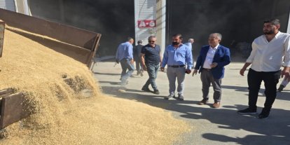 Mardin'de yılın ilk arpa hasadı yapıldı