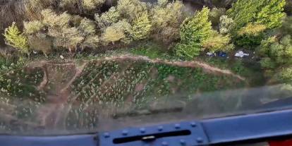 Diyarbakır'da yaklaşık bir buçuk milyon kenevir ve skunk ele geçirildi