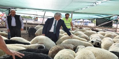 Gaziantep'te kurbanlık satış fiyatları belirlendi