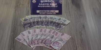 Bingöl'de hırsızlık zanlısı yakalandı