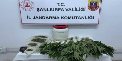 Şanlıurfa'da uyuşturucu operasyonu: 1 gözaltı