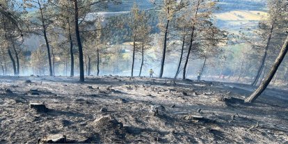 Balıkesir'de orman yangını