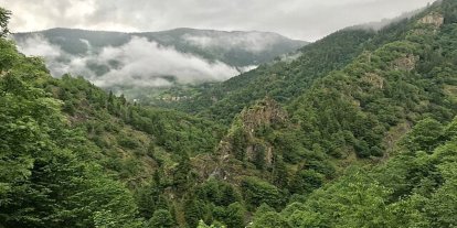 Muğla'da ormanlara giriş yasağı getirildi