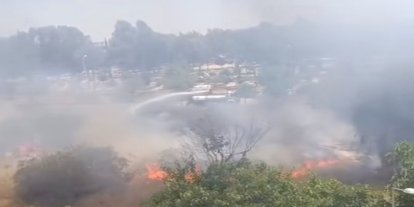 Adana'da ağaçlık alanda yangın