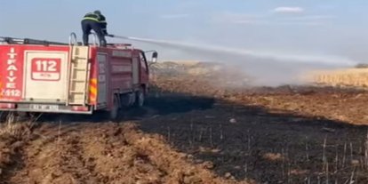Şanlıurfa'da buğday tarlasında yangın: 170 dönüm alan kül oldu