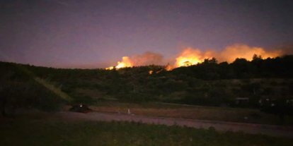 İzmir'de ormanlık alanda yangın