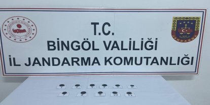Bingöl'de tarihi eser operasyonu