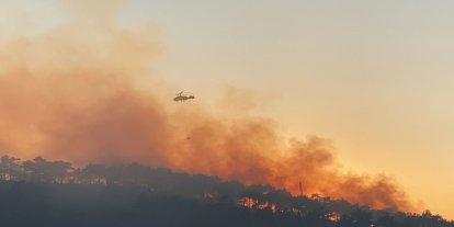 Hatay’da orman yangını