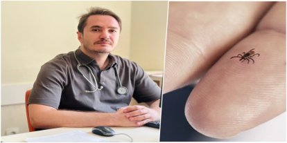 İçten: Kene ne kadar erken çıkarılırsa hastalık riski o kadar azalır