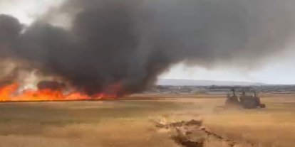 Diyarbakır'da 50 dönüm ekili alan yandı