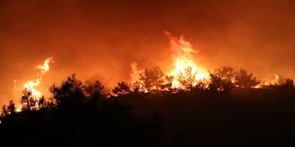 Manisa'da orman yangını