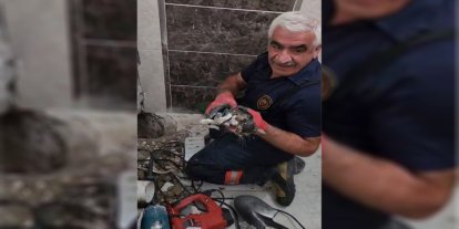 Malatya'da gider borusuna düşen yavru kedi bir saatlik çalışmayla kurtarıldı