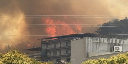 Bursa'da orman yangını: Mahalle tahliye edildi