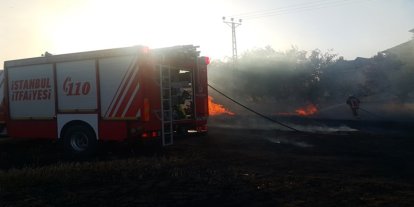 Silivri'de ormanlık alanda yangın