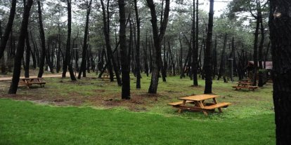 Adıyaman'da ormanlık alanlara giriş yasaklandı