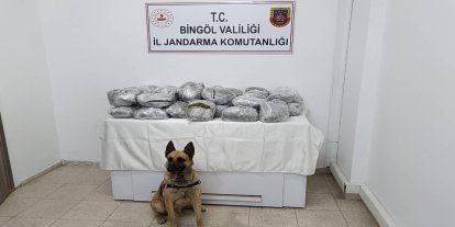 Bingöl'de 49 kilo 600 gram kubar esrar ele geçirildi