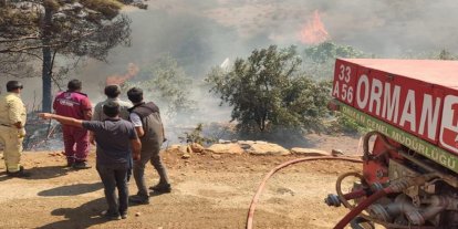 Bursa'daki orman yangınında 20 dönüm zarar gördü