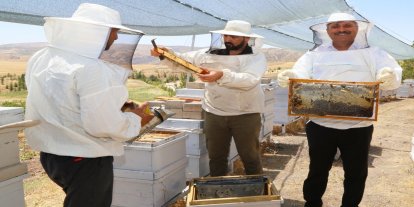 Siirt Üniversitesi bünyesinde bereketli bal hasadı gerçekleştirildi