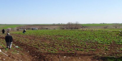 TKDK'dan Gaziantep'te kırsal kalkınma ve tarım sektörüne destek