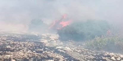 Adıyaman'da dağlık bölgede çıkan yangın söndürüldü