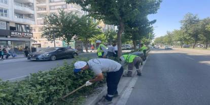 Batman'da Ana arterlerde kuru ot temizliği gerçekleştirildi