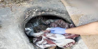 Batman'da tandırda 3 kilo uyuşturucu ele geçirildi
