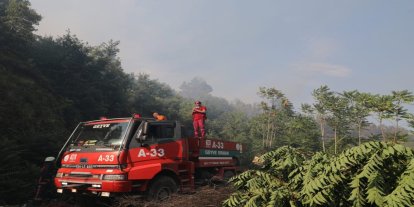 Bartın'da anız yangını ormanlık alana sıçradı
