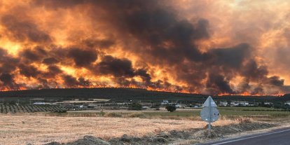Tekirdağ'da başlayan orman yangını Çanakkale'ye sıçradı