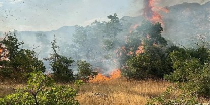 Bingöl’de 4 ayrı noktada yangın çıktı
