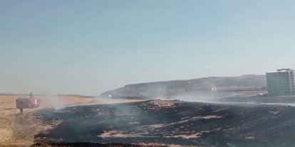 Siirt'te anız yangını: İtfaiye ekipleri müdahale ediyor