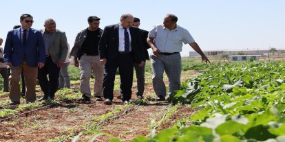 Şanlıurfa’da ata tohumları toprakla buluşuyor