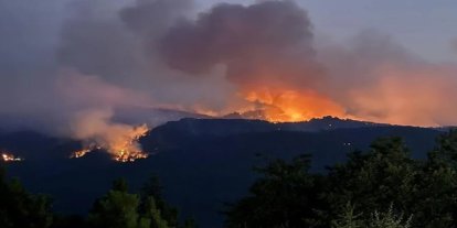 Kocaeli'de orman yangını