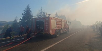 Malatya'da orman yangınlarına havadan ve karadan müdahale