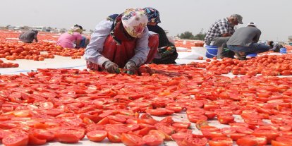 Diyarbakır'ın kavurucu sıcaklığında kurutma mesaisi