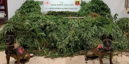Şanlıurfa'da uyuşturucu operasyonunda 2 kişi gözaltına alındı