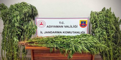 Uyuşturucu operasyonunda 9 kişi gözaltına alındı