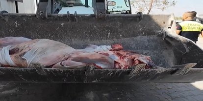 Şanlıurfa’da mühürsüz etler imha edildi